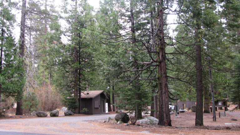 Top 5 Best campgrounds in Sequoia National Park