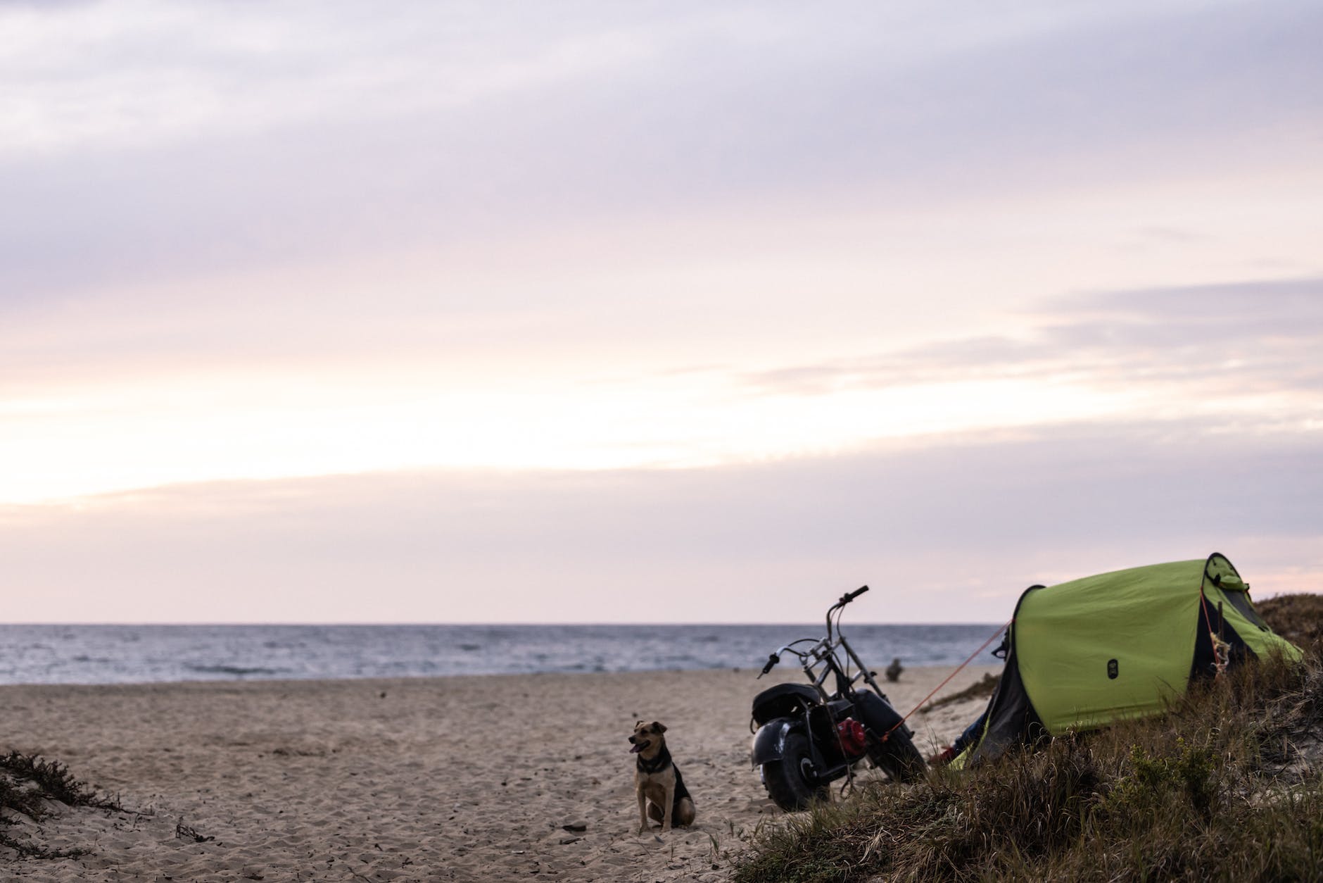 a dog sitting on the beach next to a motorcycle and a tent